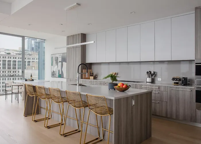 Premier Penthouses And With Captivating Views Of Millennium Park Apartment