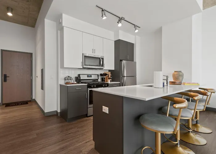 Apartment Premier Penthouses And With Captivating Views Of Millennium Park Chicago